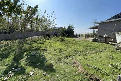 زمین باغی مسکونی 407 متری در زیباکنار